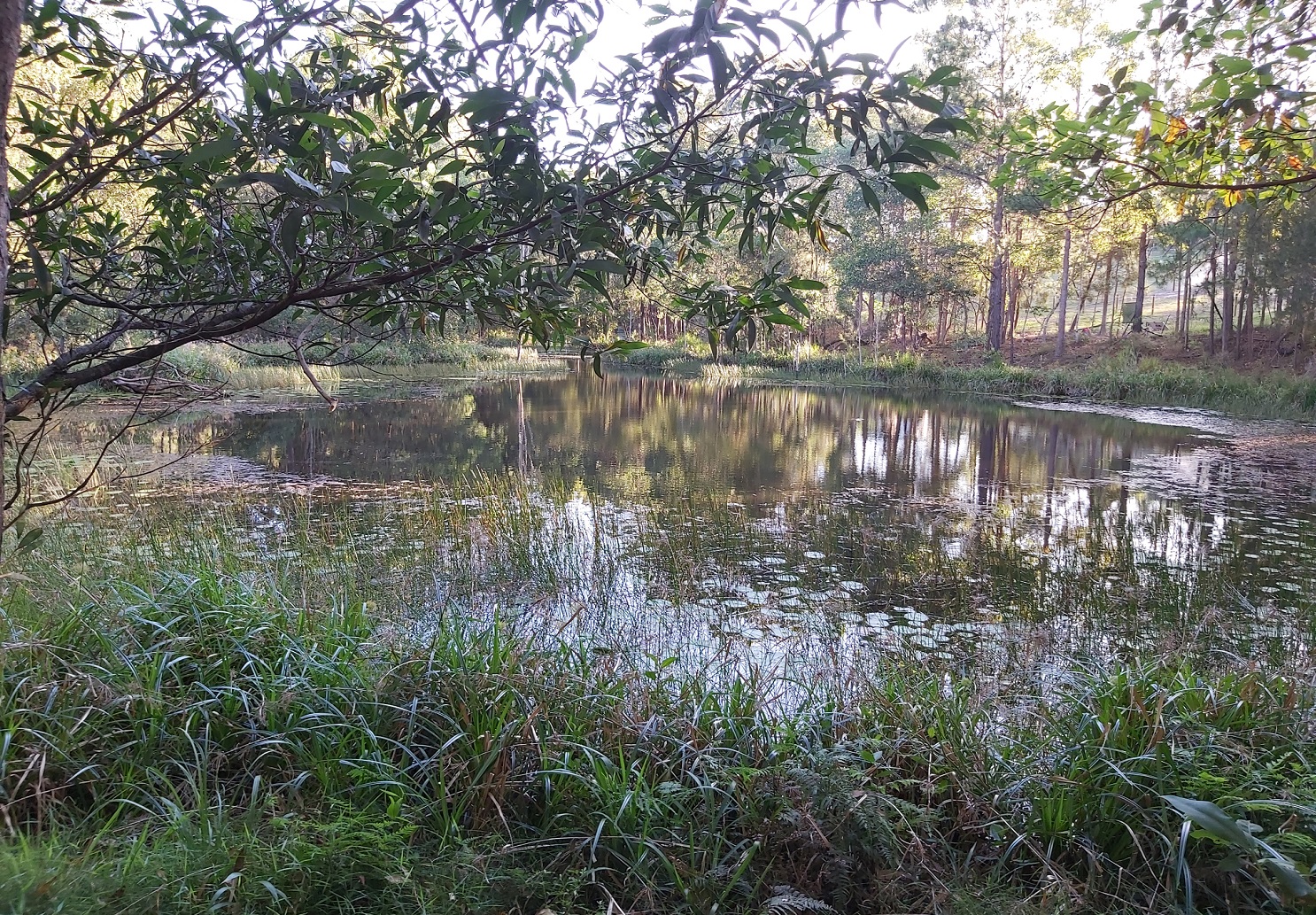 <span style="font-size:16px;"><span style="color:#000000;"><span style="background-color:#bdc3c7;">&nbsp; CANT SEE THE FOREST ?&nbsp;&nbsp;</span></span></span>